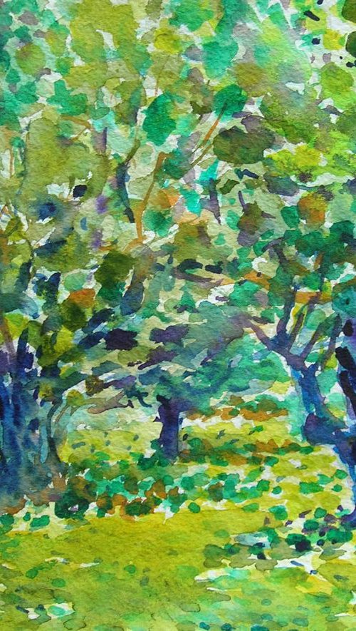 Olive trees 2 by Maja Grecic