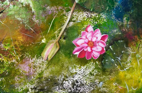 Enchanting Water Lilies 1 (2020)