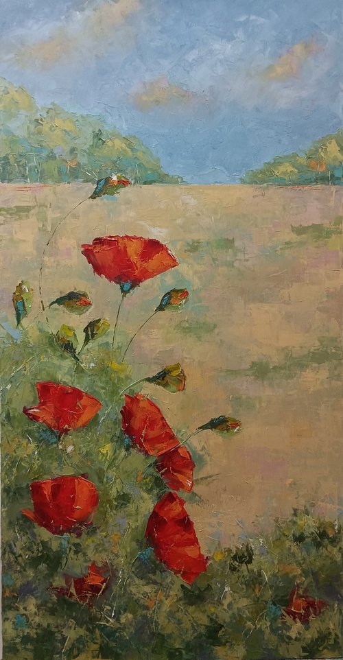 Red poppy flowers in the field by Marinko Šaric