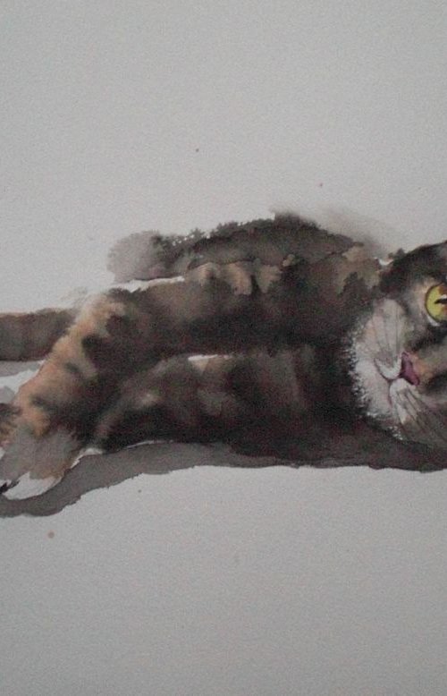 lying cat 2 by Giorgio Gosti