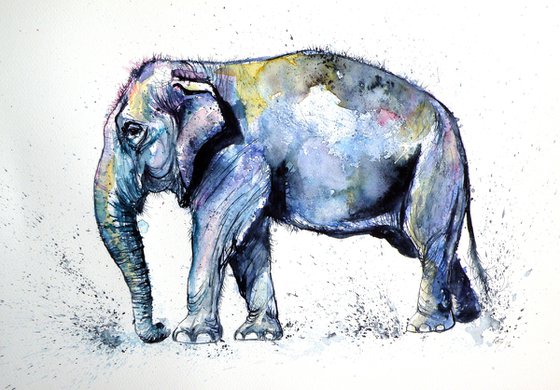 Elephant