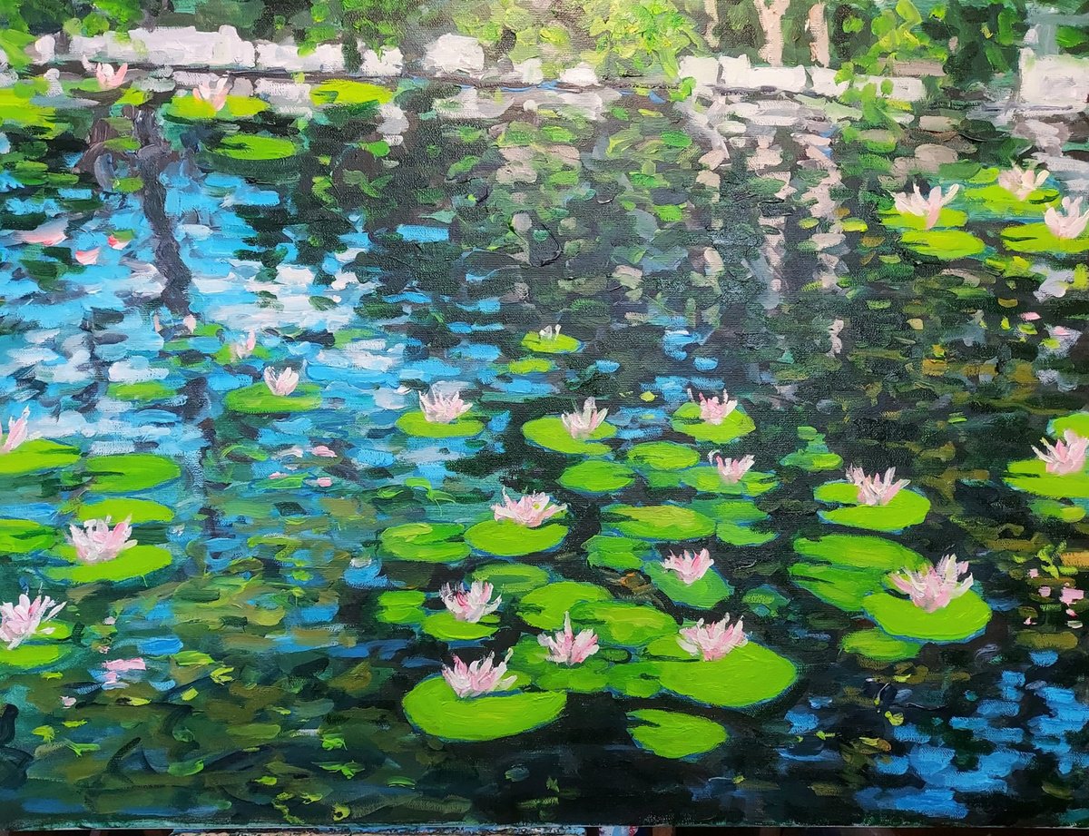 Botanical Oil Painting By Colin Ross Jack, 30 X 24, Waterlily Pond, Original Artwork