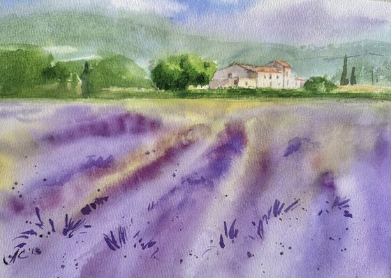 Aqua: Provence 3