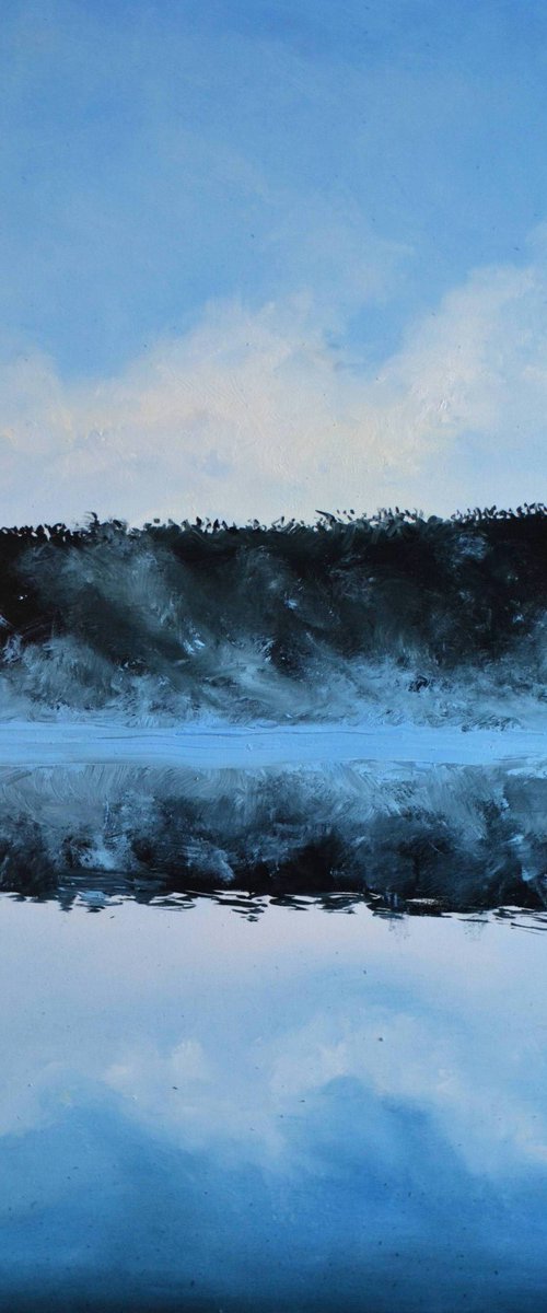 Blue Bowl by Valeriia Radziievska