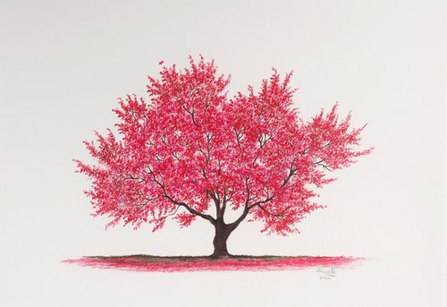 Crabapple tree II by Shweta  Mahajan