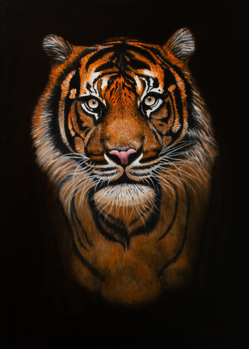 PREDATOR by Vera Melnyk (gift, tiger painting, tiger art, tiger face, home decor, wall art... by Vera Melnyk