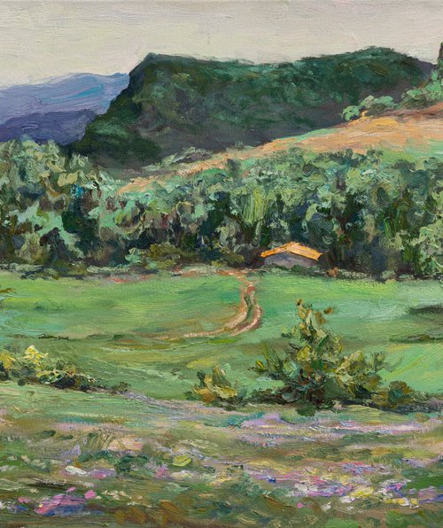 Rocabruno Pass – Summer in the Pyrenees by Vitaly Leshukov Soldatov