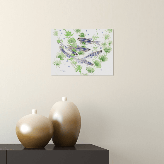 Danio, Zebrafish Aquarium art
