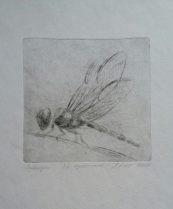 Dragonfly