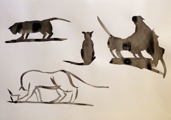 Study of Cats 2, ink drawing 29x42 cm