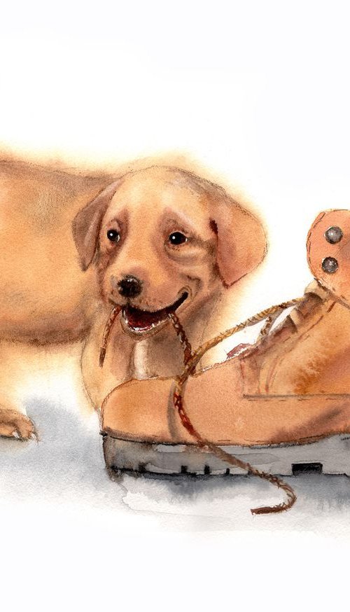 Golden Labrador puppy chewing by Olga Beliaeva Watercolour
