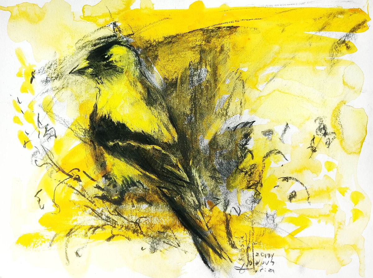 Golden finch#2 by Daria Yablon-Soloviova