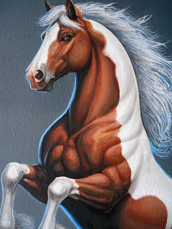 "Splendor"