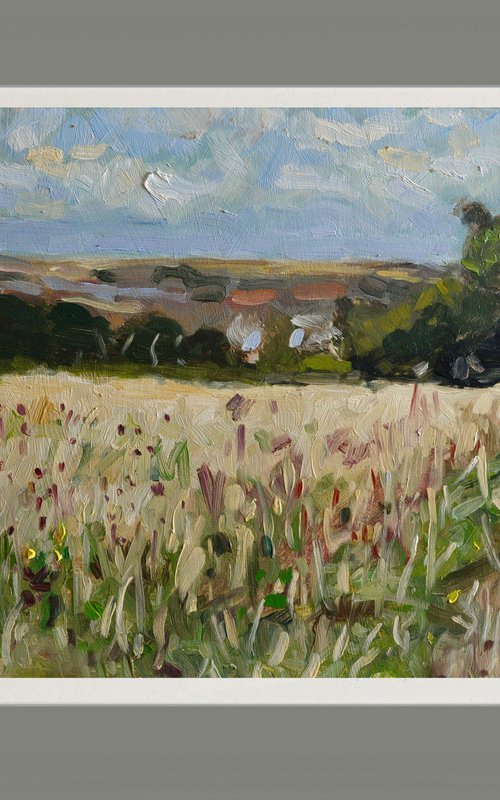 Field at Highdown by Andre Pallat