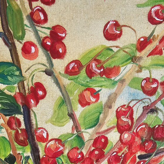 Cherries