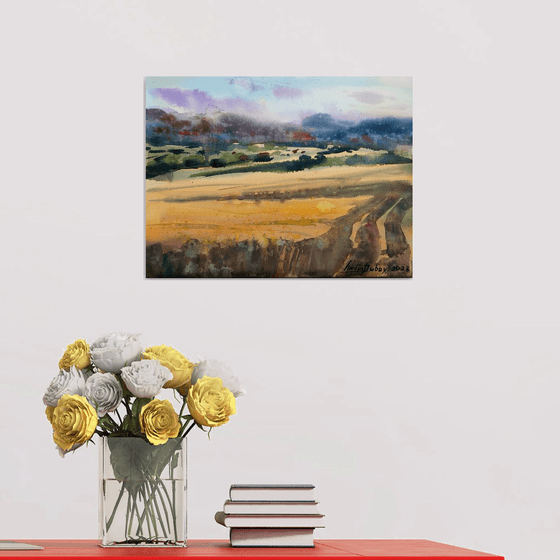 Ukrainian fields
