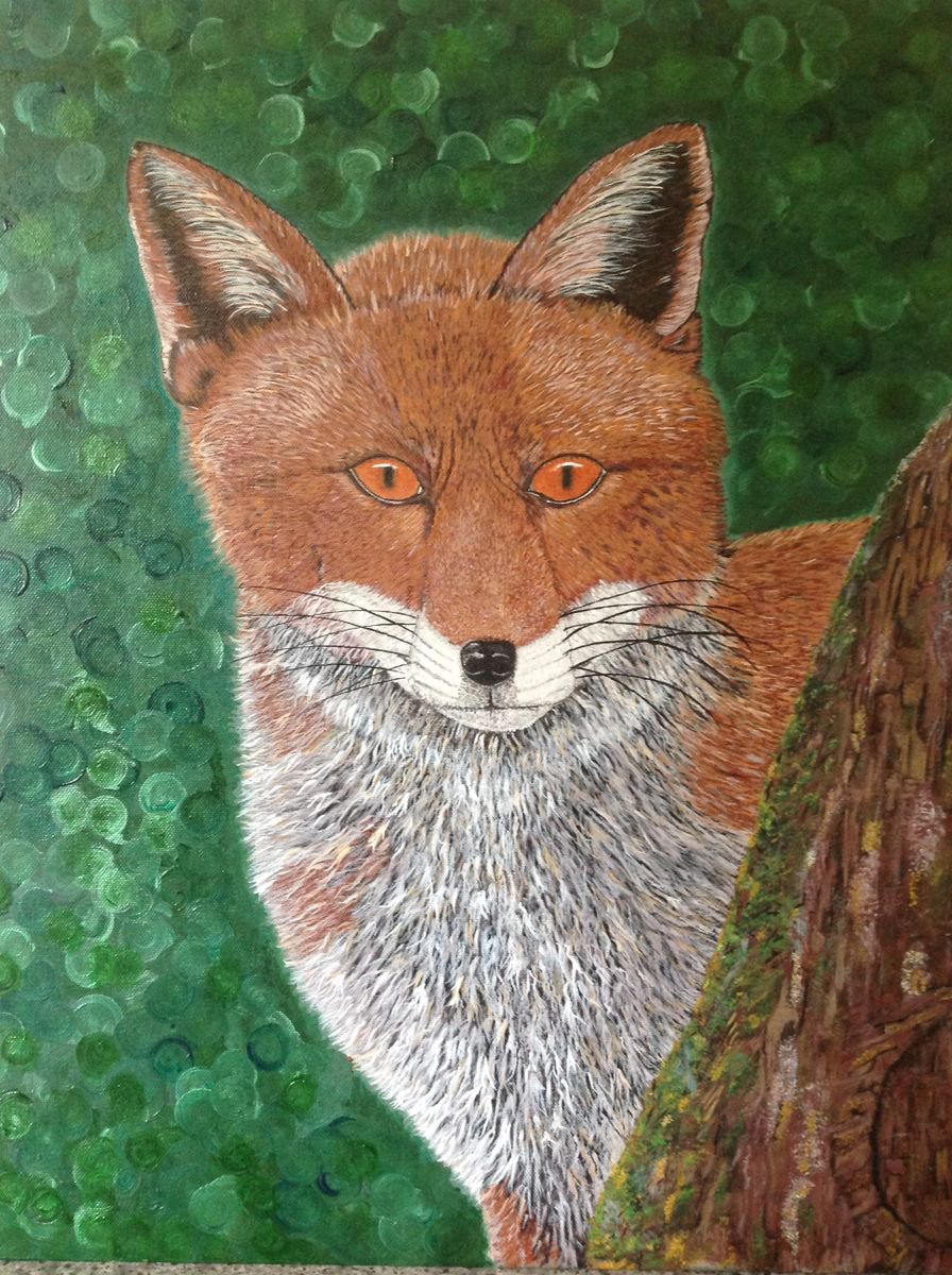 Curious Fox by Julie Stevenson