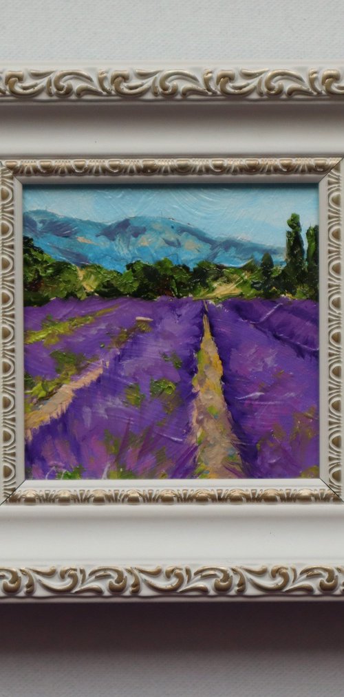 Lavender Fields by Natalia Shaykina