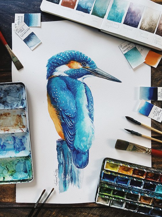 Kingfisher, blue bird from the river