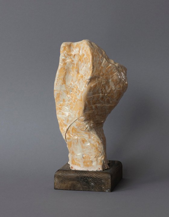 "Male Torso II"
