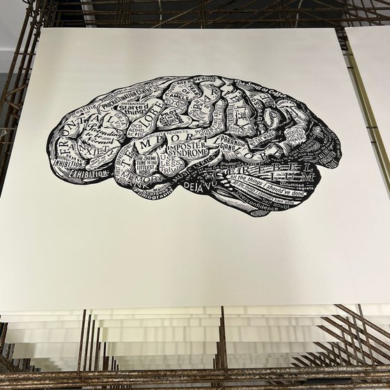 Anatomy Of The Brain