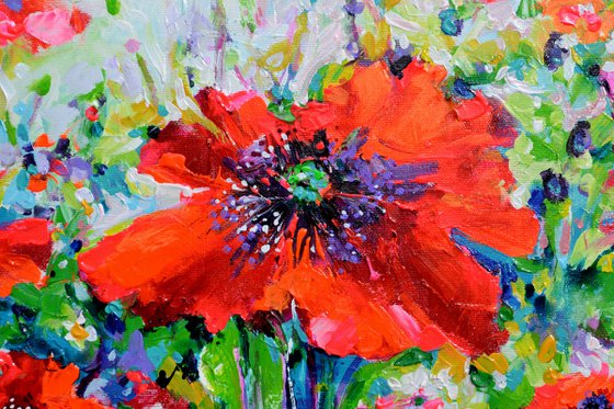 Papaveri Orientali Poppy Oriental Red Poppies