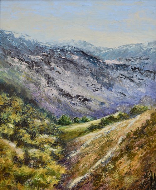 Berwyn mountain range by David Mather