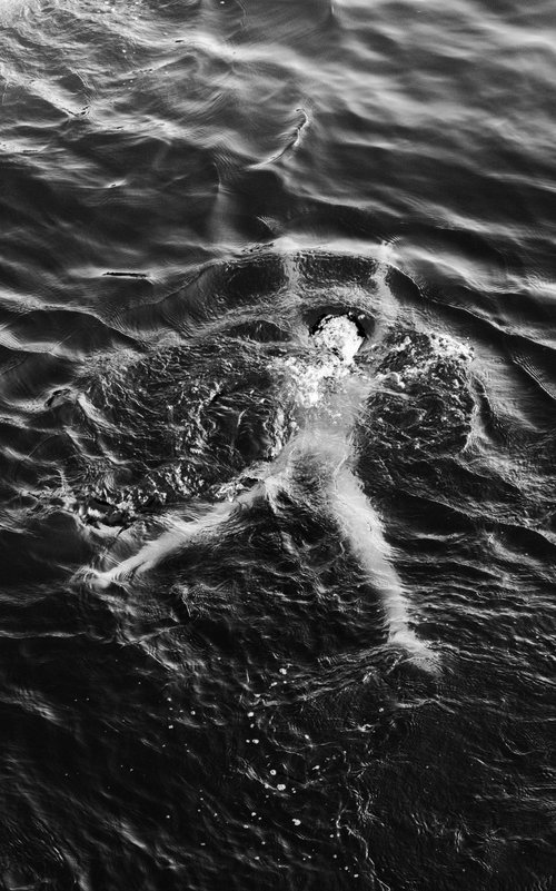 Form Within the Flow by YIBO WANG