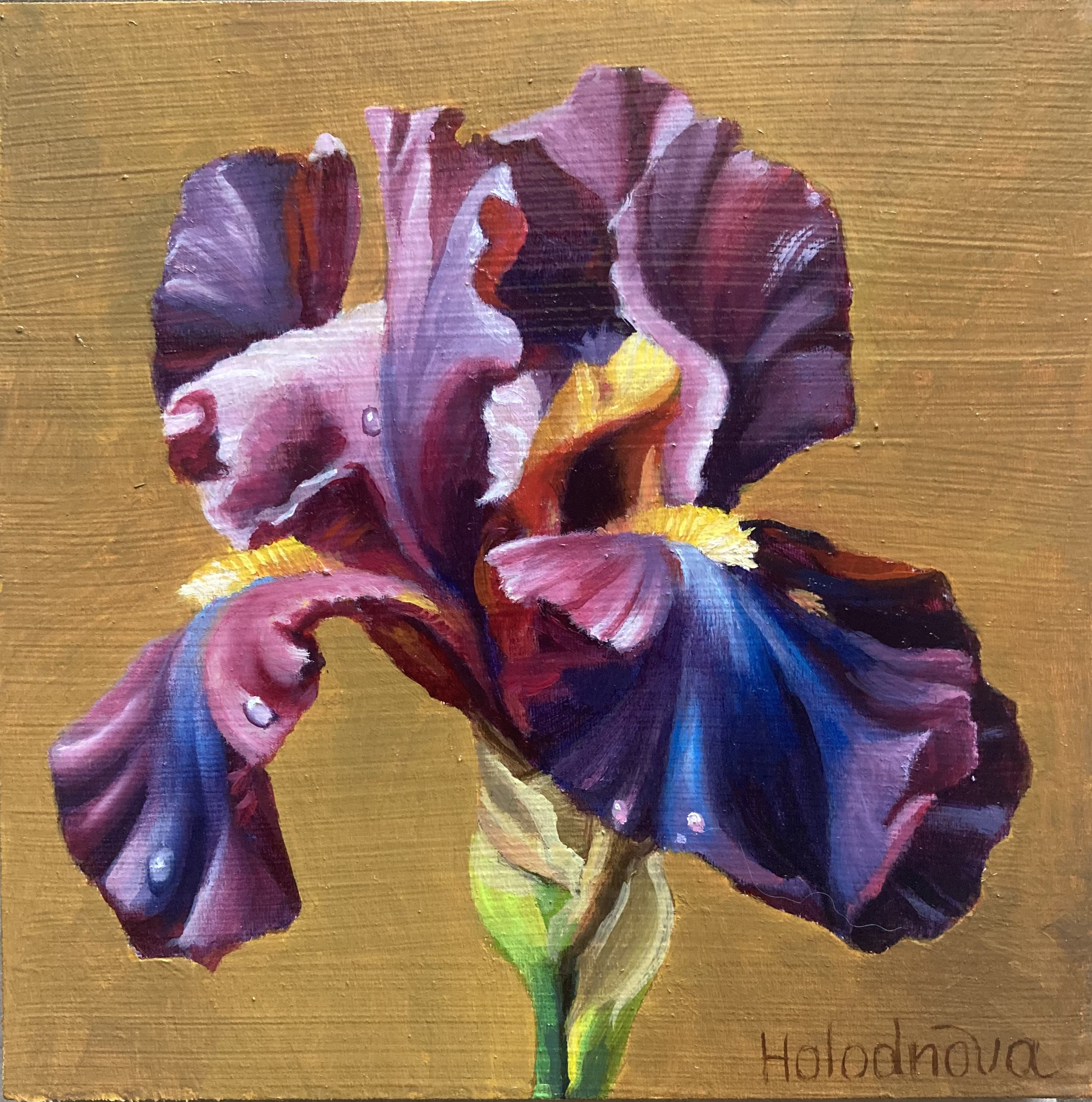 Photorealistic Botanical Oil Painting By Tatyana Holodnova, 6 X 6", Mystic Iris, Original Artwork