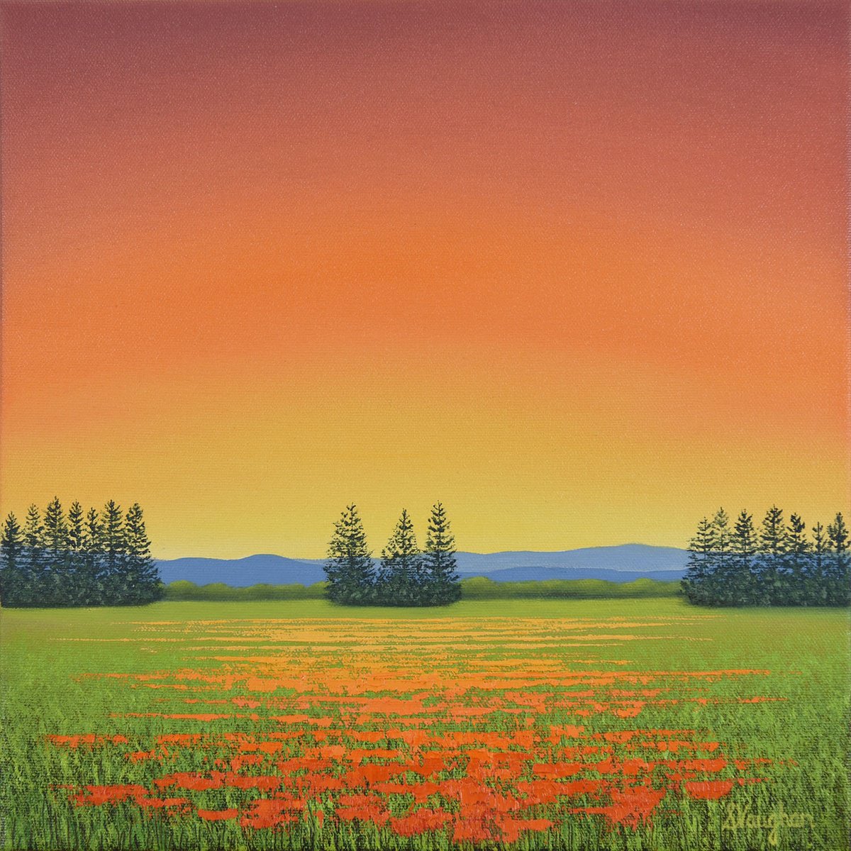 Impressionistic Landscape Oil Painting By Suzanne Vaughan, 12 X 12", Orange Poppies In Bloom, Original Artwork