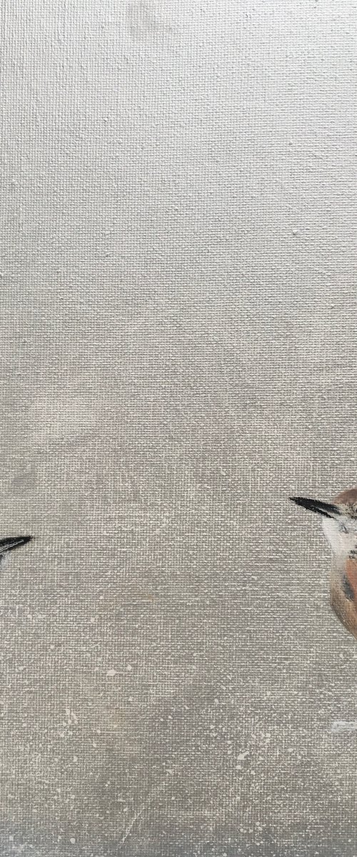 Two Little Wrens ~ on Silver II by Laure Bury