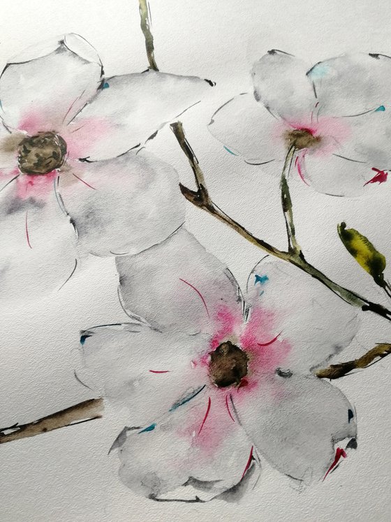 Magnolia painting. Blossoms painting