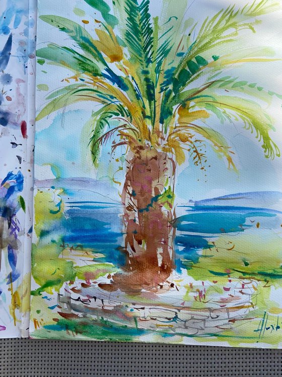 Mediterranean summertime