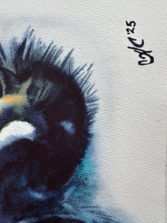 Birds: White Heron and Anhinga