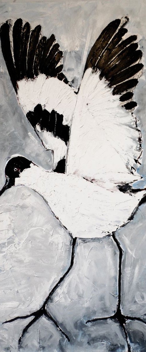 Avocet for Alison by Irene Wilkes