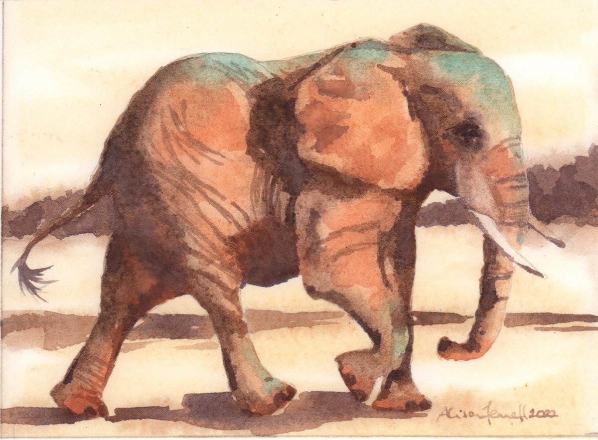 Eager Ellie - Original Watercolour Painting by Alison Fennell