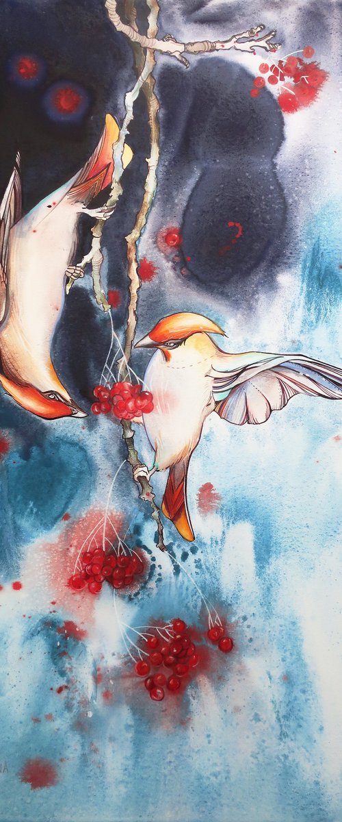 Birds. Bohemian Waxwings by Alla Vlaskina