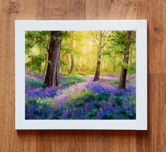 Bluebell flowers wood in spring