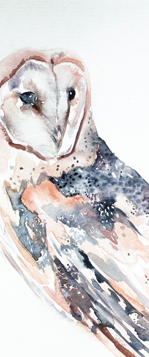 Barn Owl No. 2 by Elizabeth Becker
