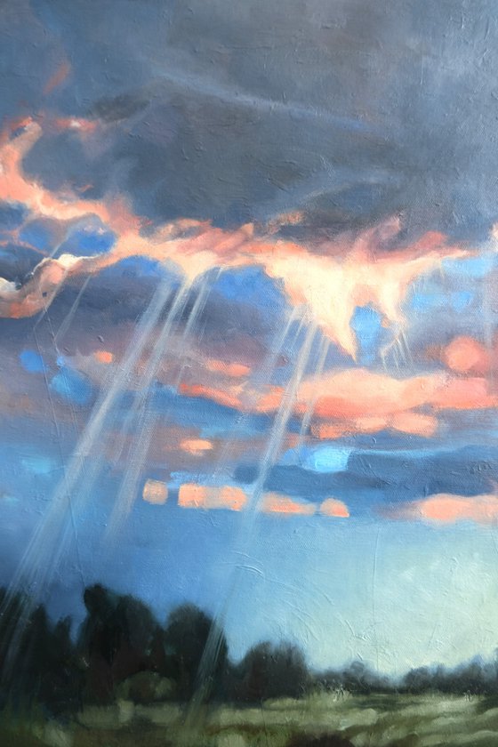 The reveal of the light