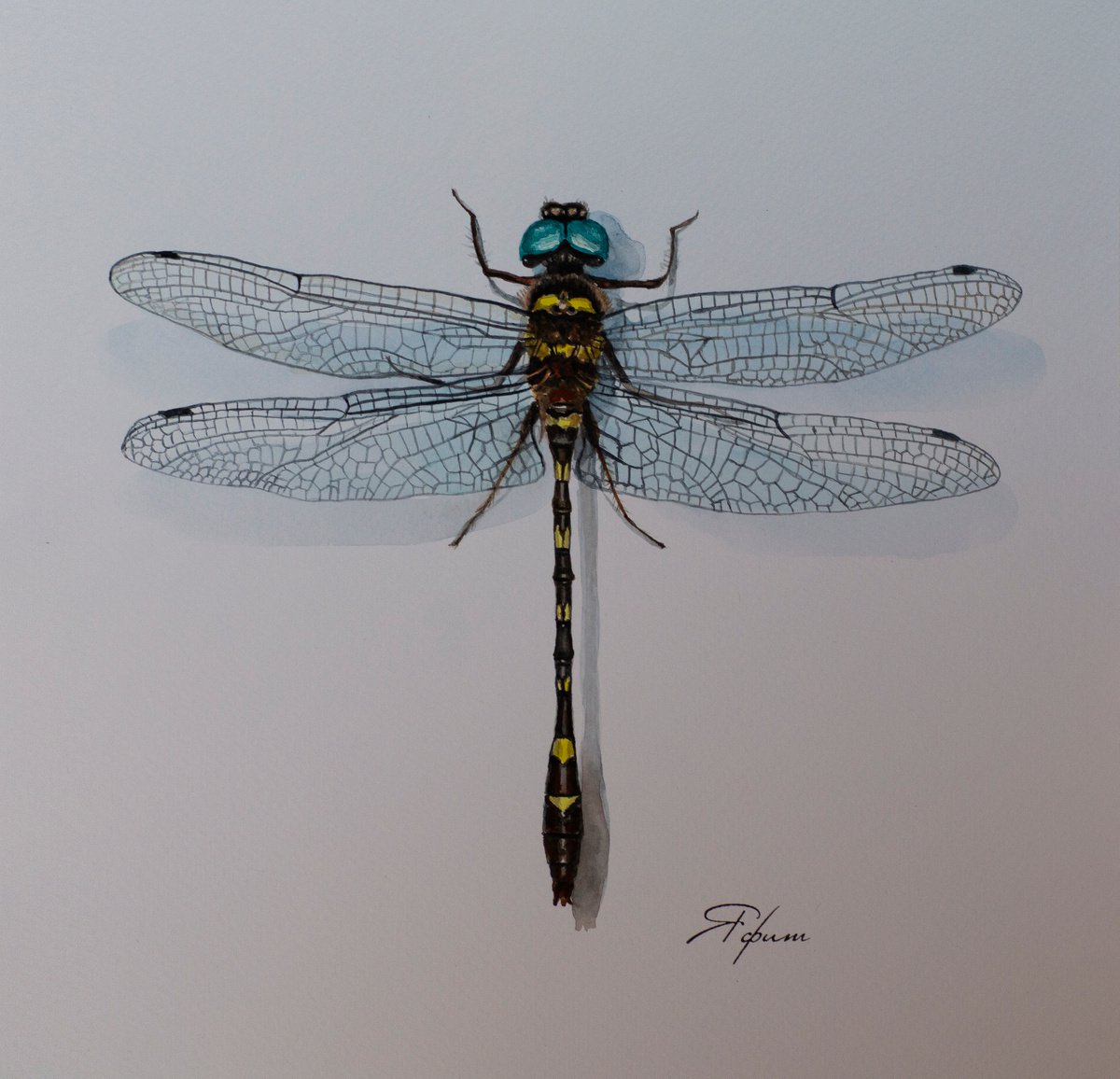 Dragonfly by Yafit Moshensky