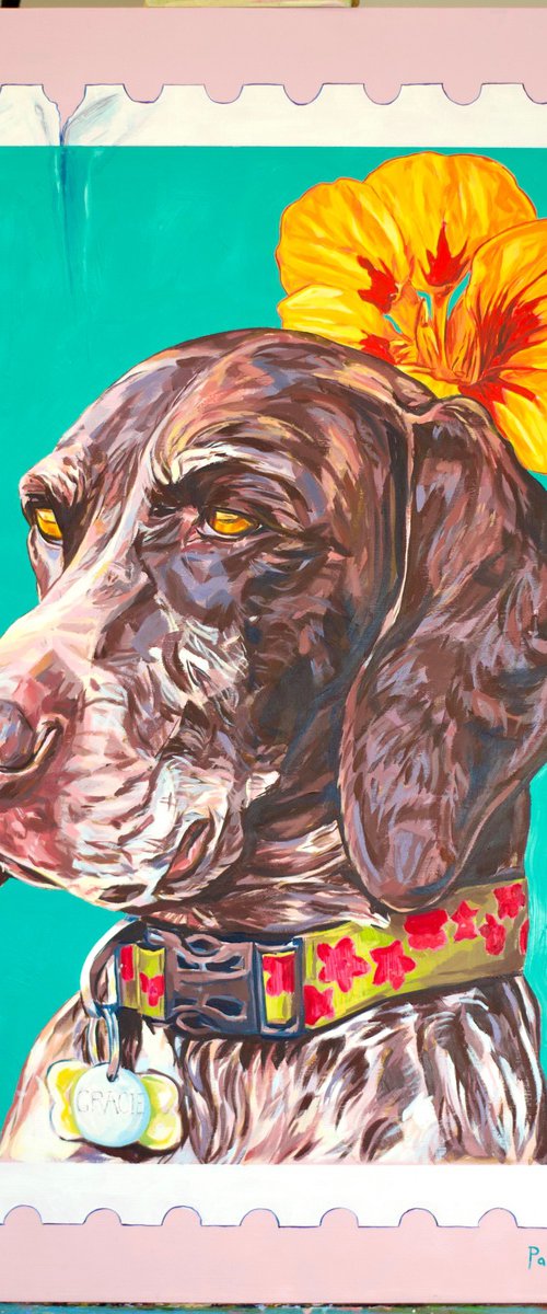 Gracie by Paul Ward