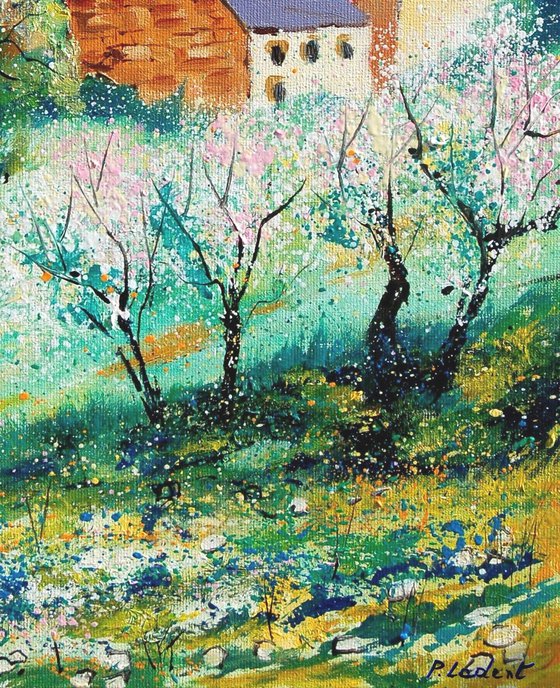 Spring in my countryside