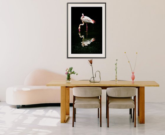 Flamingo