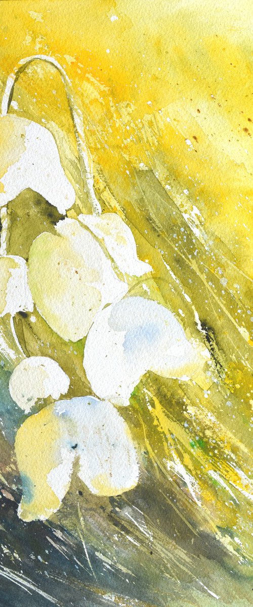 Lily of thevalley watercolor by Pol Henry Ledent