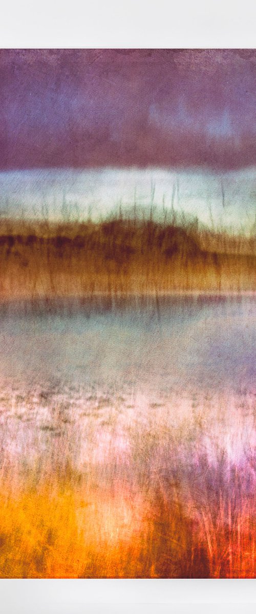 Misty Morning by Lynne Douglas