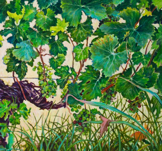 The Vine