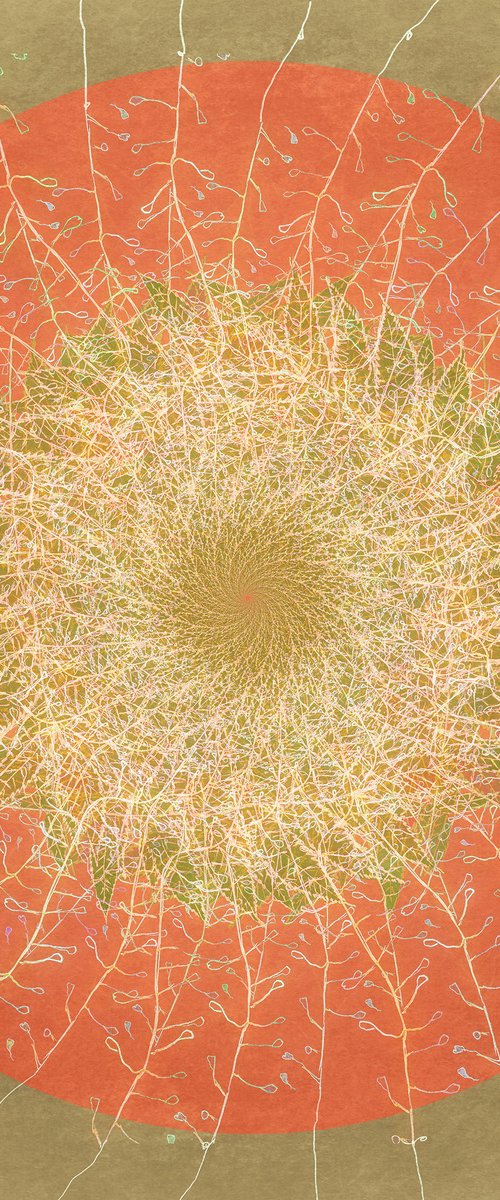 Floral Mandala #1 by Louise O'Gorman