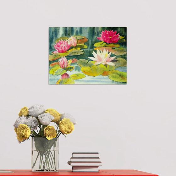 Water lilies