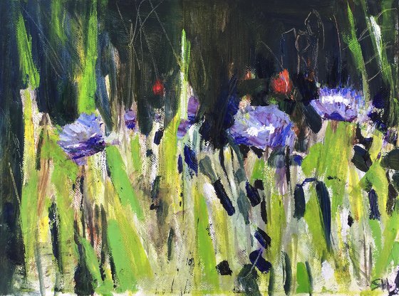 Cornflowers Study 3
